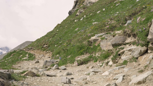 美丽的瑞士山脉徒步旅行，一览无遗的全景视频素材