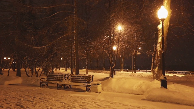 冬季冬季，俄罗斯雅罗斯拉夫尔的公园里晚上下着雪视频素材