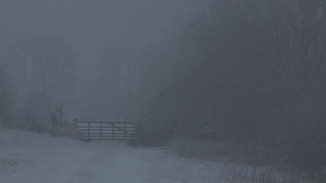 南唐斯，大雪中遛狗的人走近一扇大门视频素材