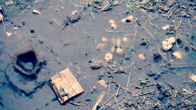 雨天，下雨了，水滴成水坑，彩色录像视频素材