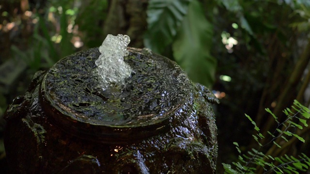 慢镜头，水缸喷泉在绿色花园视频素材