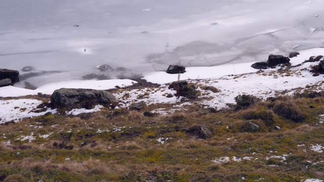 在瑞士山区的小路上徒步旅行视频素材