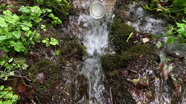 一个口渴的游客徒步手从天然山泉收集清澈的水从绿色的草和苔藓倒在金属杯子视频素材