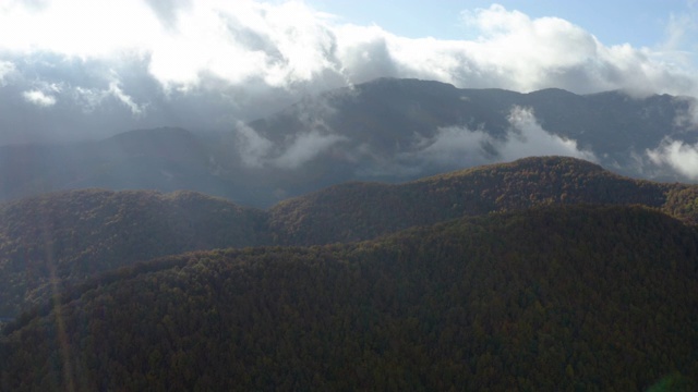 鸟瞰图的橡树和山毛榉森林景观和山区在秋天视频素材