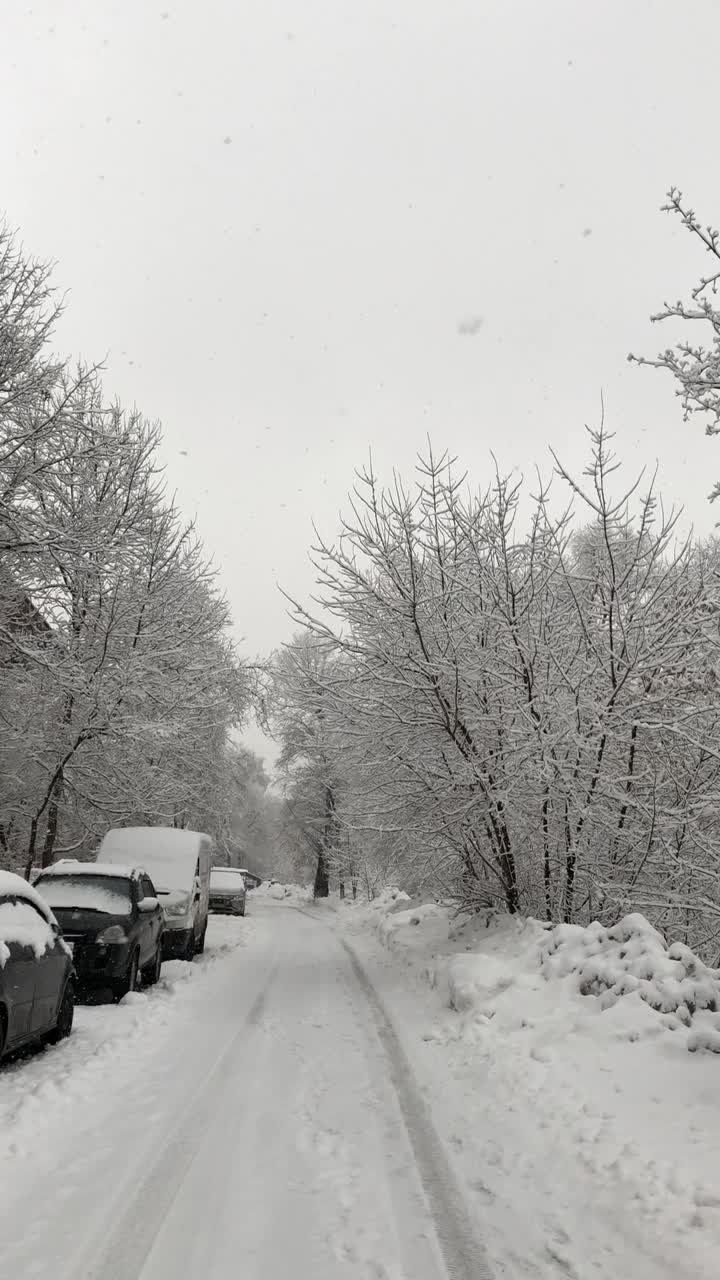 在冬天的一天，树下的雪在城市视频素材