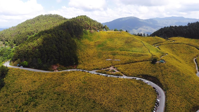 无人机拍摄鸟瞰山上美丽的天然黄色向日葵和大山上的风景视频素材