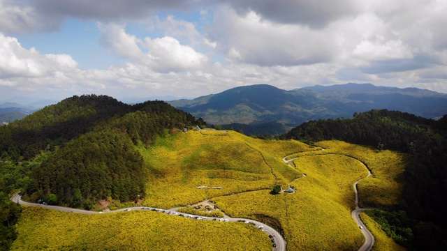 无人机拍摄鸟瞰山上美丽的天然黄色向日葵和大山上的风景视频素材