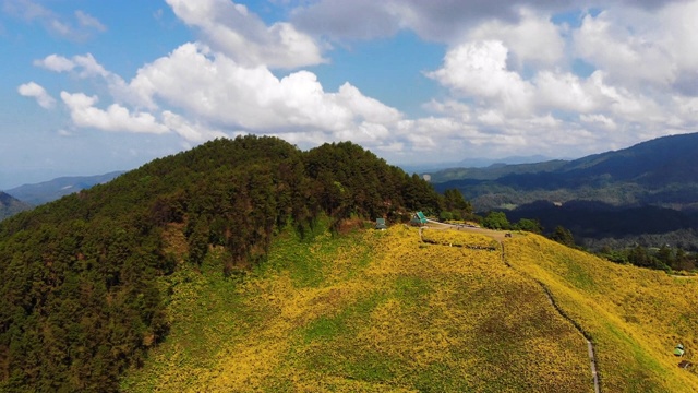 无人机拍摄鸟瞰山上美丽的天然黄色向日葵和大山上的风景视频素材