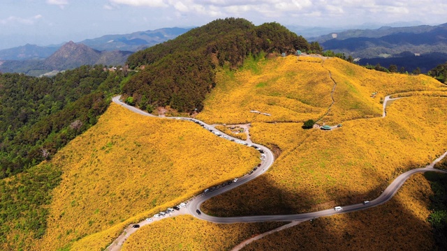 无人机拍摄鸟瞰山上美丽的天然黄色向日葵和大山上的风景视频素材