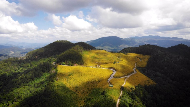 无人机拍摄鸟瞰山上美丽的天然黄色向日葵和大山上的风景视频素材