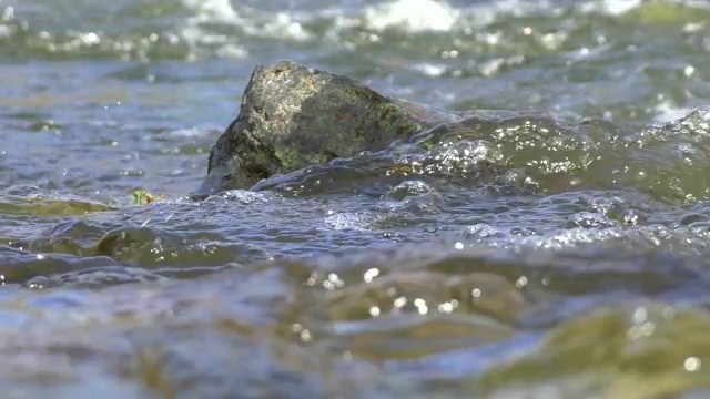 流水环绕着石头视频素材