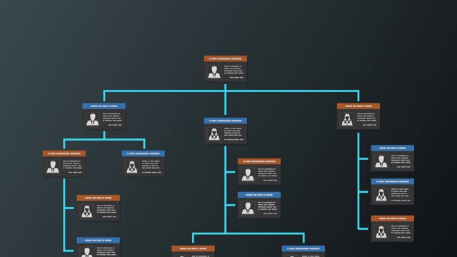 组织图的概念视频素材