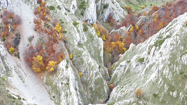 秋林山景，鸟瞰图视频素材