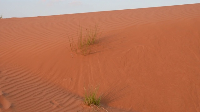 在迪拜附近的阿拉伯联合酋长国(阿联酋)，沙丘的全景，看在傍晚日落的光涟漪和纹理的沙子。视频素材