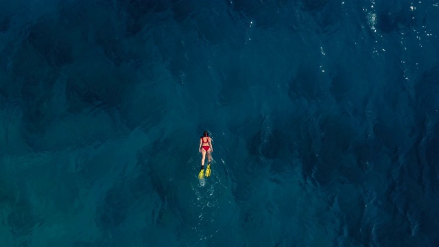 浮潜在清澈的绿松石海视频素材