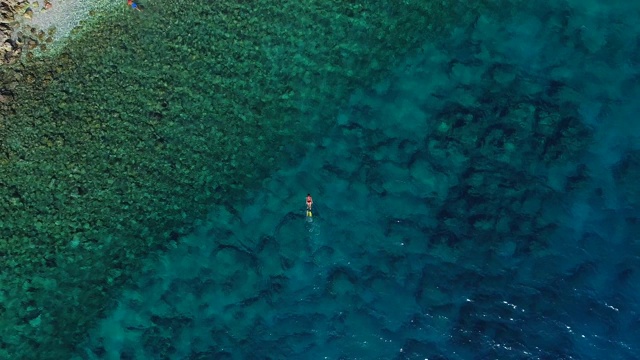 浮潜在清澈的绿松石海视频素材