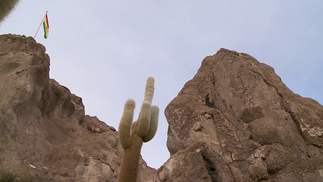 岛上仙人掌和岩石的特写，玻利维亚视频素材