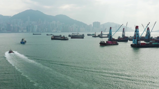 香港港口内的船只视频素材