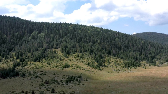 飞过高山草地视频素材