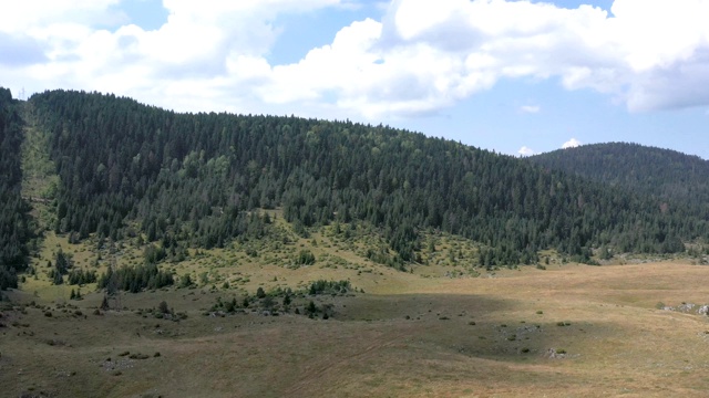 飞过高山草地视频素材