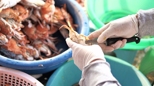 这是清蒸的泰国菜螃蟹视频素材