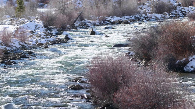 湖Creek-Colorado-Closeup c2视频素材