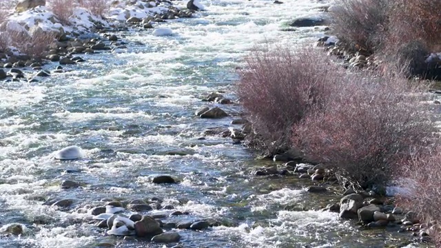 湖Creek-Colorado-Closeup c1视频素材