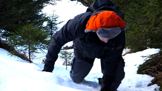 年轻的徒步旅行者走在云杉林中的雪山上。一个小伙子在阳光明媚的雪坡上远足。美丽的风景作为背景。寒假或假期的概念。低视角慢动作视频素材