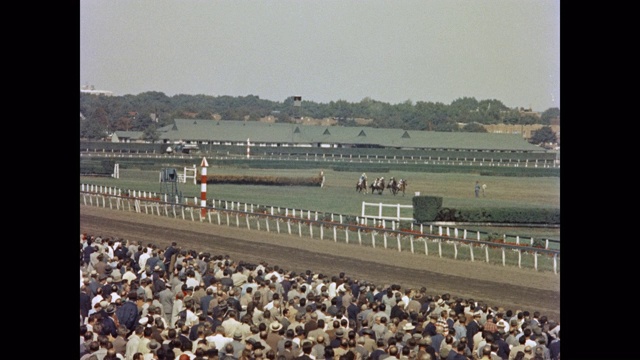 1950年-跟踪拍摄的观众观看跨栏赛马场，好莱坞公园赛马场，英格尔伍德，加利福尼亚州，美国视频素材