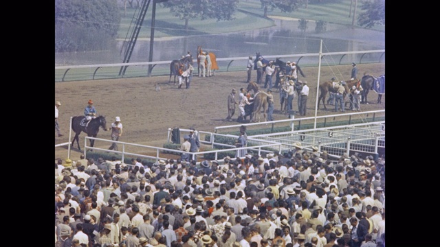 1950年代，美国加利福尼亚州英格伍德好莱坞公园赛马场，观众们正在观看赛马骑师和马匹为赛马做准备视频素材