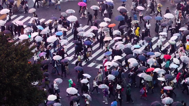 日本东京涩谷渡口视频素材