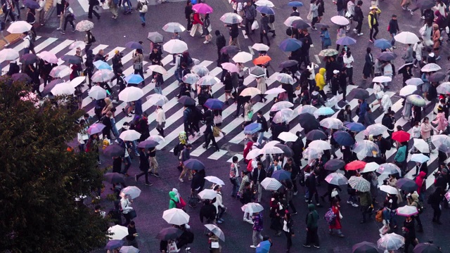 日本东京涩谷渡口视频素材