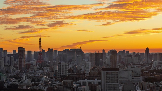 日本东京日出时密集建筑的时间流逝视频素材