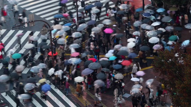 日本东京涩谷渡口视频素材