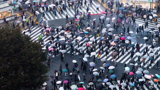 日本东京涩谷渡口视频素材