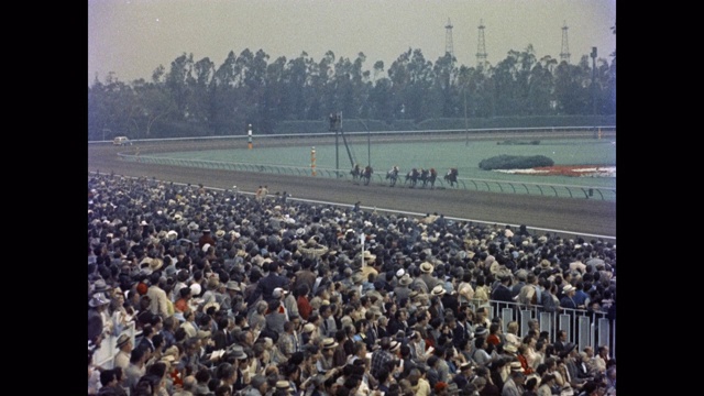 1950年-跟踪拍摄的观众在赛马场赛马，好莱坞公园赛马场，英格尔伍德，加利福尼亚州，美国视频素材