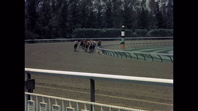 1950年-跟踪拍摄的骑师骑马，在比赛中，好莱坞公园赛马场，英格尔伍德，加利福尼亚州，美国视频素材