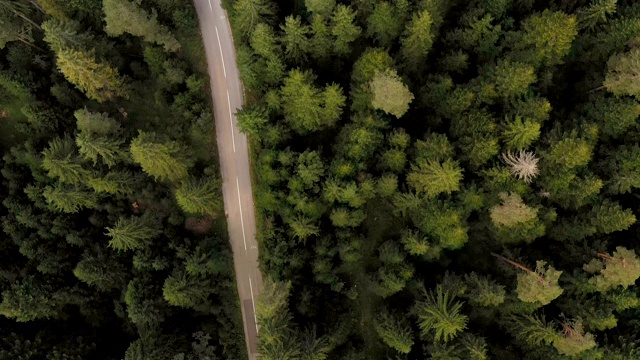 穿越森林的公路旅行视频素材