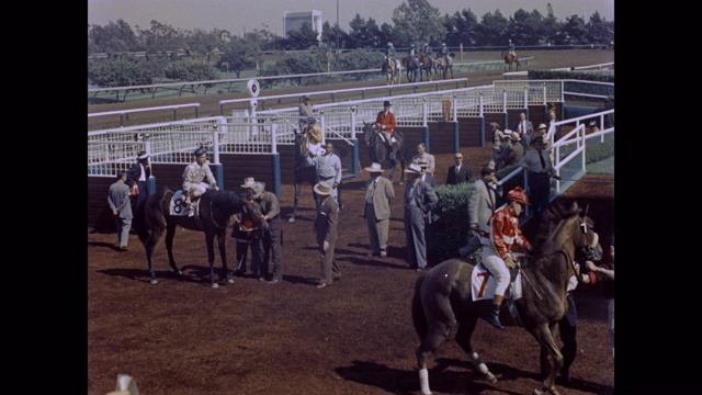 1950年代-骑师和马准备比赛，好莱坞公园赛马场，英格尔伍德，加利福尼亚州，美国视频素材