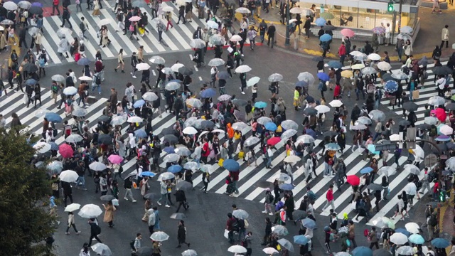 日本东京涩谷渡口视频素材