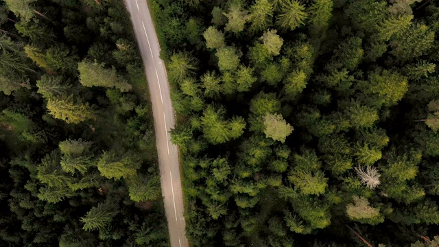 穿越森林的公路旅行视频素材