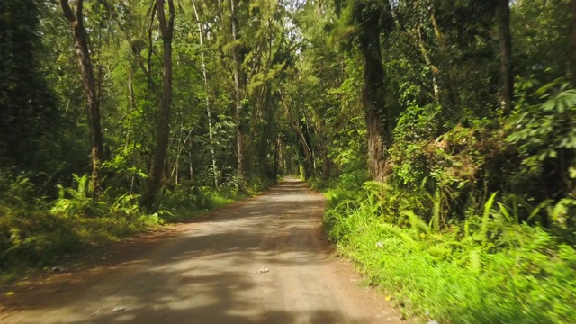 穿过夏威夷热带森林的道路视频素材