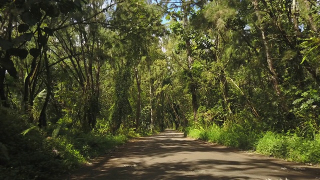 穿过夏威夷热带森林的道路视频素材