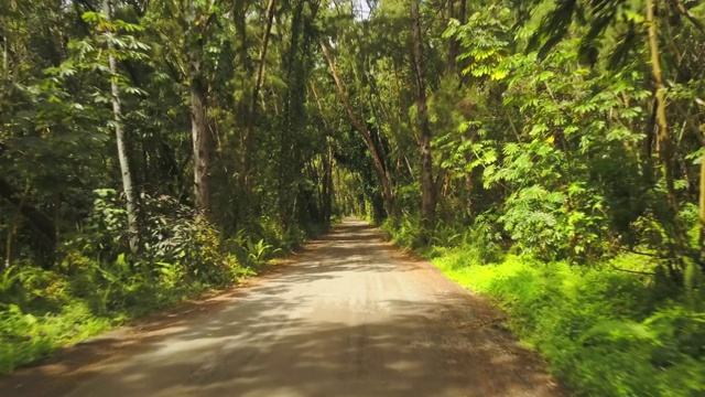 穿过夏威夷热带森林的道路视频素材