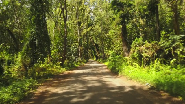 穿过夏威夷热带森林的道路视频素材