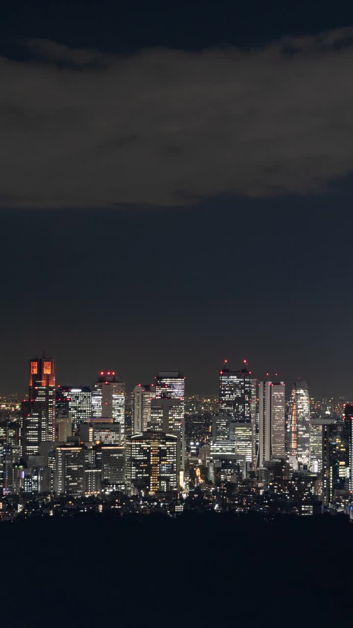 新宿摩天大楼之夜(垂直/延时)视频素材