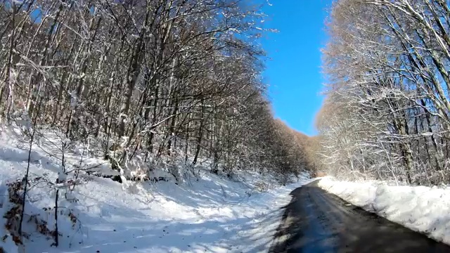 在冬天开车的路上，有野生林路，冬天的时候松树林，树上覆盖着积雪视频素材