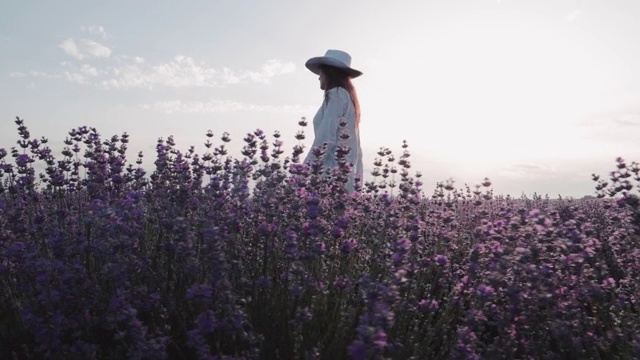 现代农妇走在她的薰衣草田在夏天，小型企业和投资，农业职业。视频素材