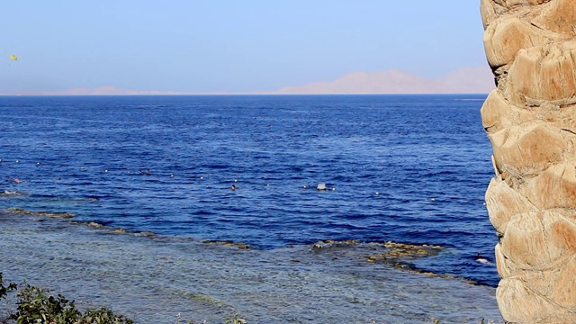 从海岸到红海珊瑚海岸的微风，度假者游泳视频素材