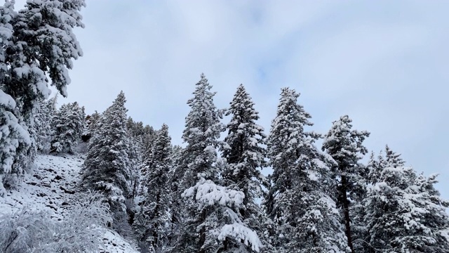 科罗拉多州博尔德市附近新下的雪覆盖了大地视频素材